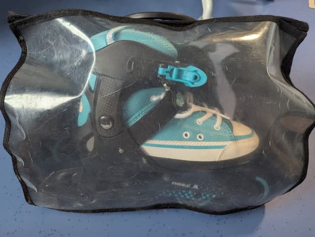In line skaters