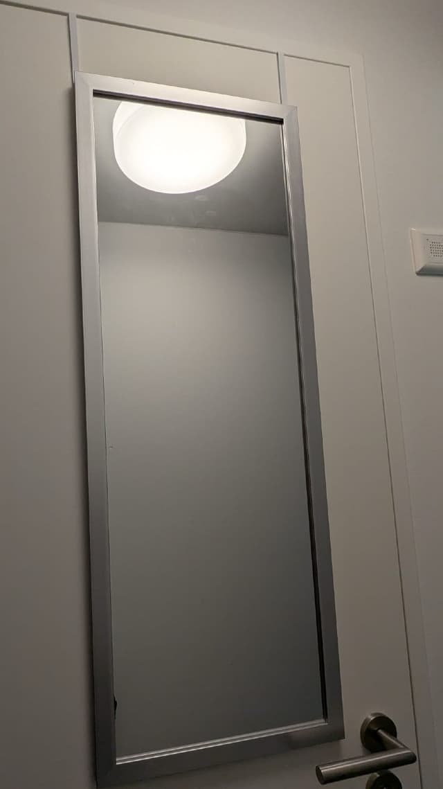 Fullsize mirror/Spiegel with door mounting hooks