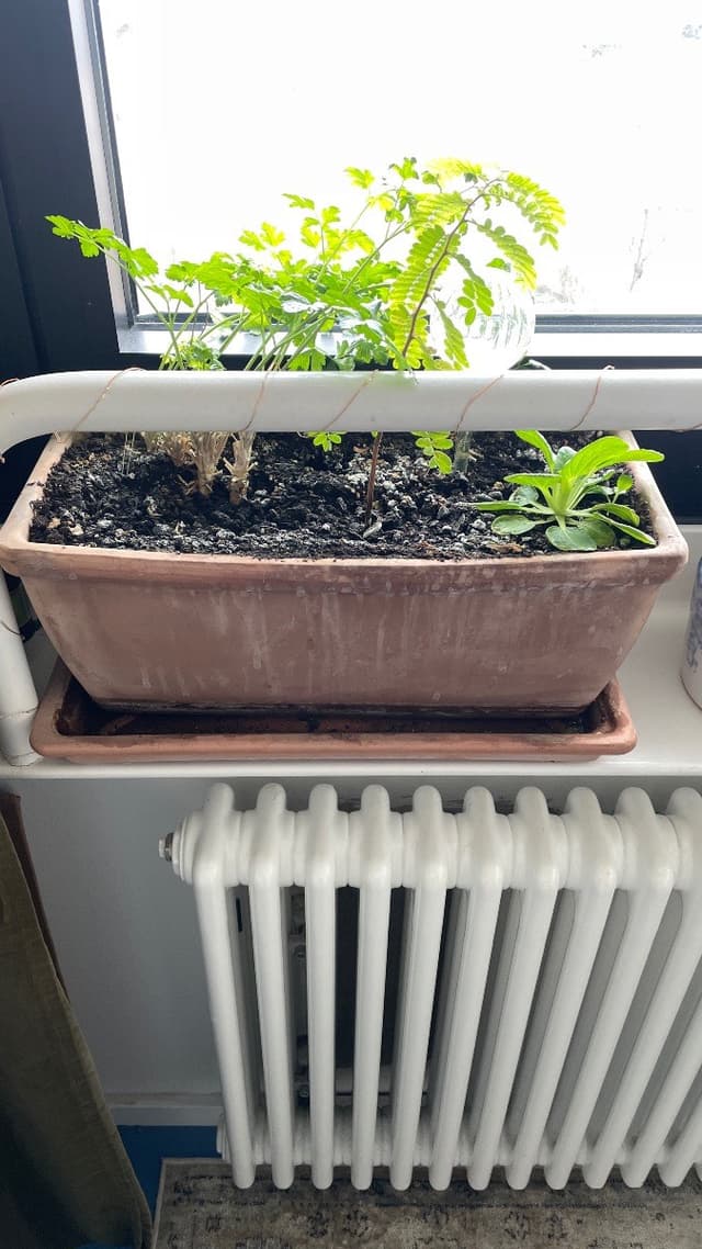 Blumenkasten